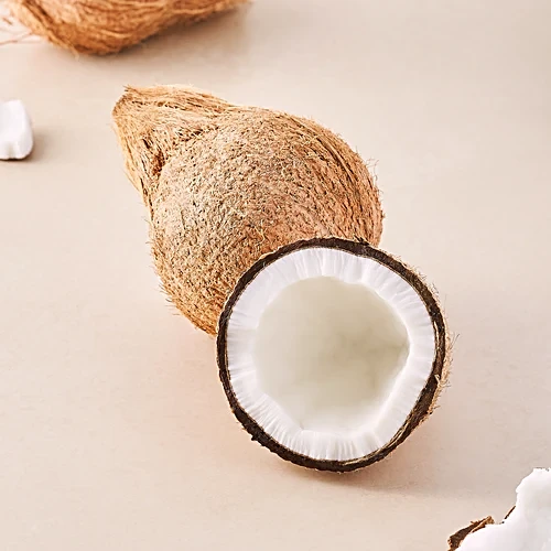 Coconut - Medium