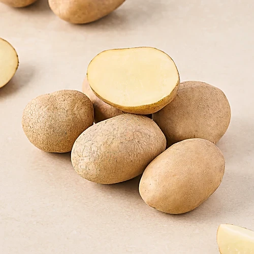 Potato